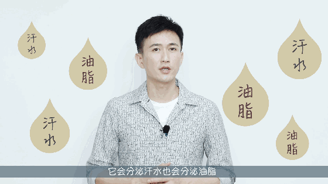 头皮和面部肌肤一样,是