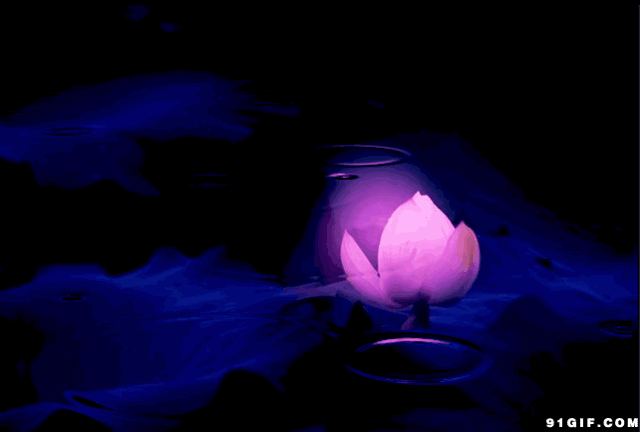 我自芬芳,蝴蝶自来.