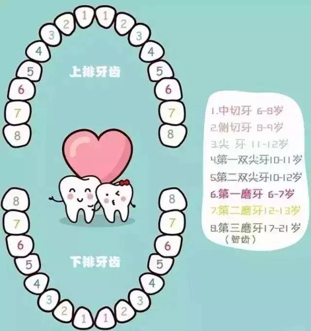 换牙期这5点做得好,孩子身体棒棒颜值高!