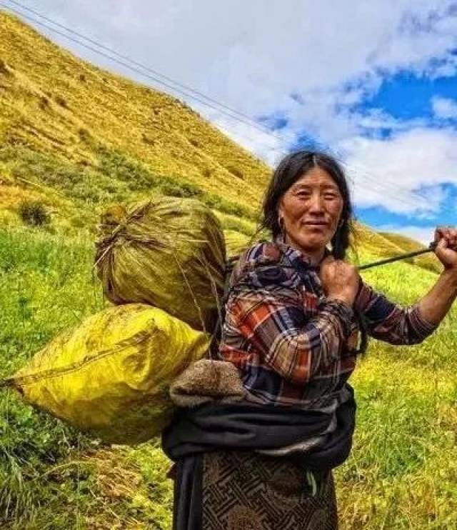 纯朴和淳朴的区别,形容人用淳朴还是纯朴,淳朴的正确解释_大山谷图库