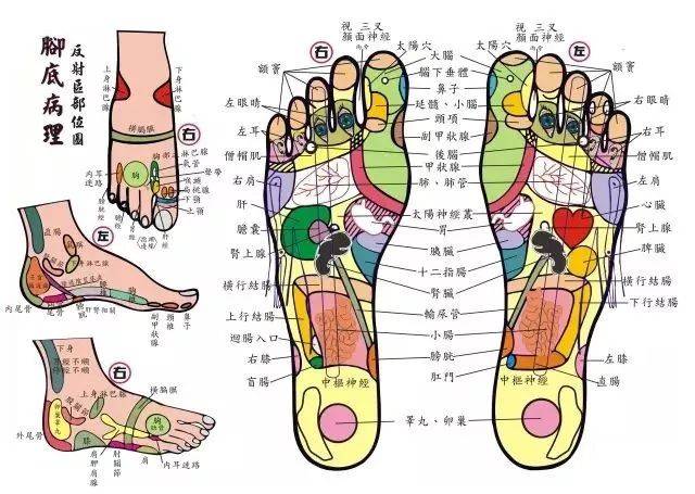 通过按摩,刺激足部的经络和穴位可以治疗各种疾病