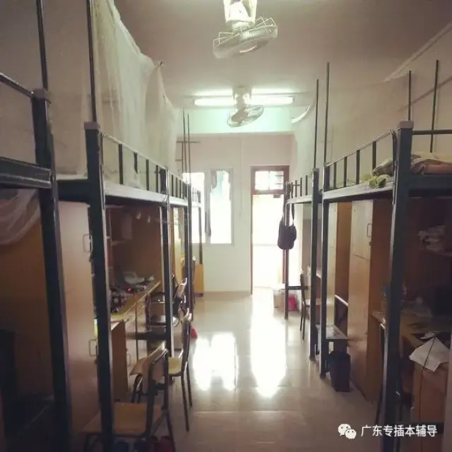 (25)广东培正学院