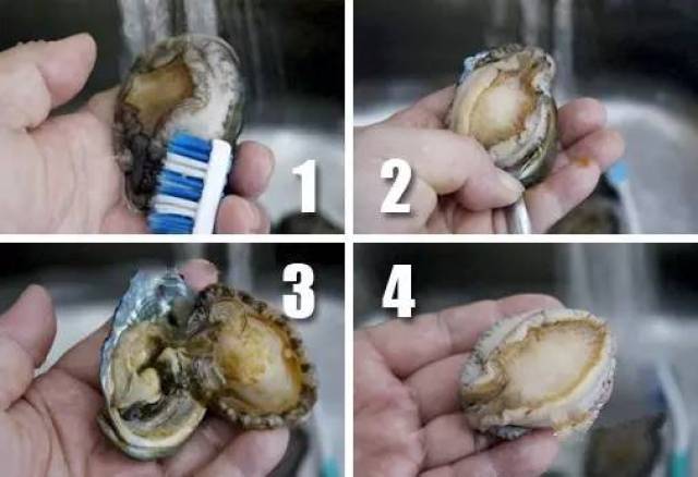 海南人吃海鲜的常识和禁忌,全在这条微信里,赶紧收藏!