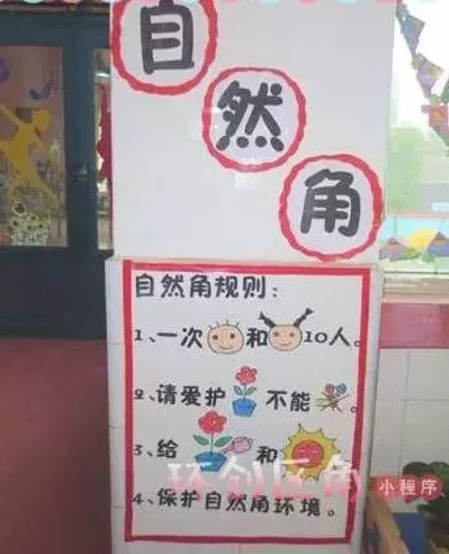 脑洞大开:植物角这样布置,让孩子们流连忘返