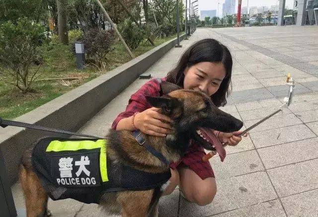 不穿警服的缉毒警察——缉毒犬