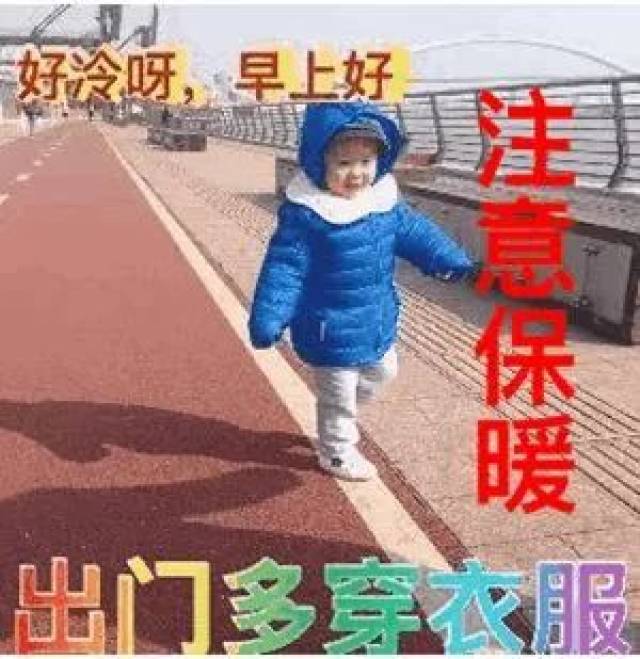 最全的 "早上好" 聊天表情图片,太美了!