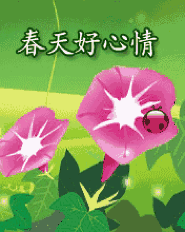 最全的