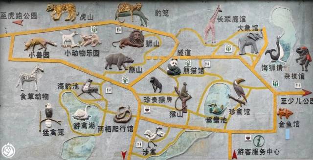 起个早床,来这儿听猿鸣吧 | 杭州动物园游记