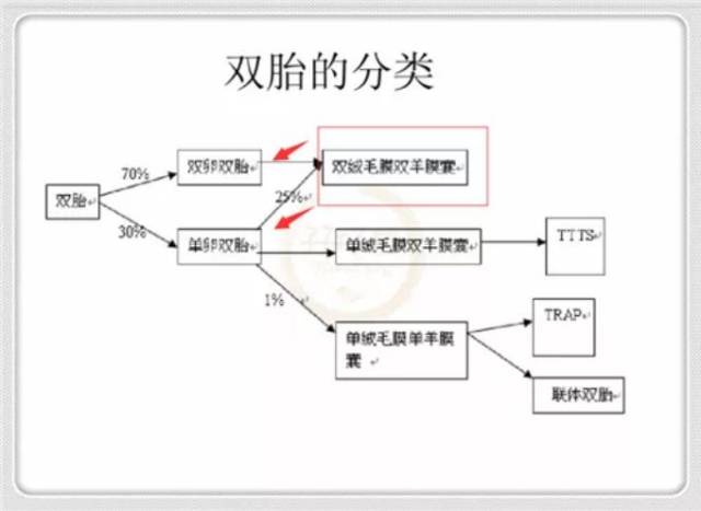 官宣:双绒双羊,单绒双羊,单绒单羊傻傻分不清?一篇消除你所有疑问