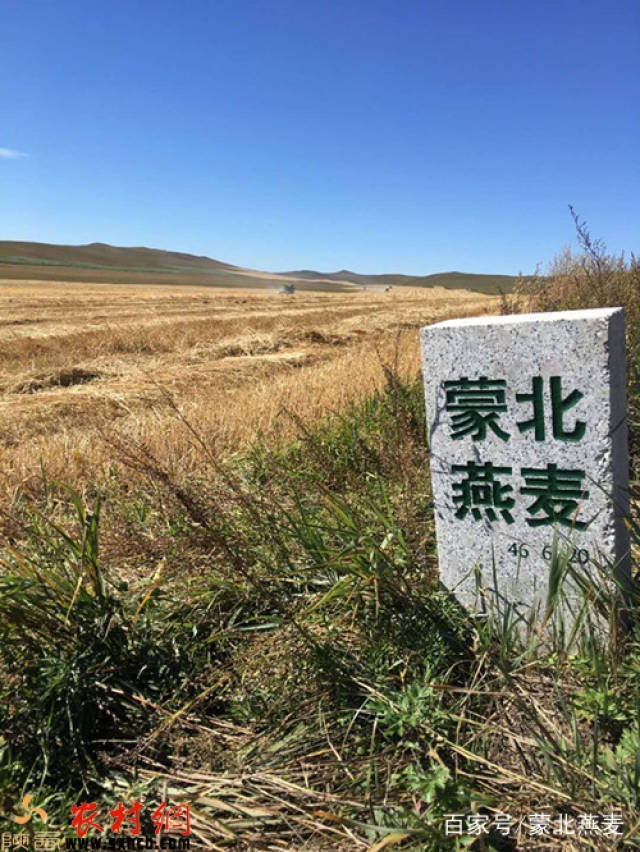 蒙北燕麦种植基地获得国家质量检验检疫总局颁发的生态原产地产品保护