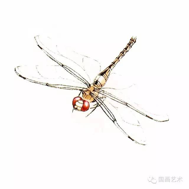 10种写意画画法合集(附教程100副,学习的好素材~)