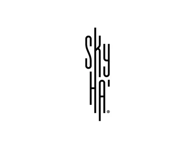 图形创意法,优秀logo设计技巧