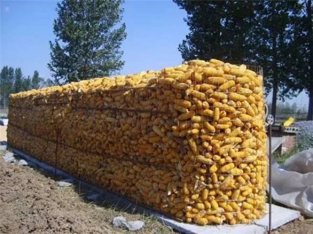 90a13748b185444093e1b9fbdea5d9b1.jpeg