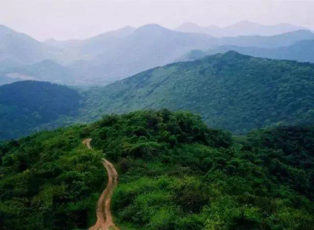陕西安康半马 湖北黄龙山天空越野 凯乐石跑山帮训练赛南京站