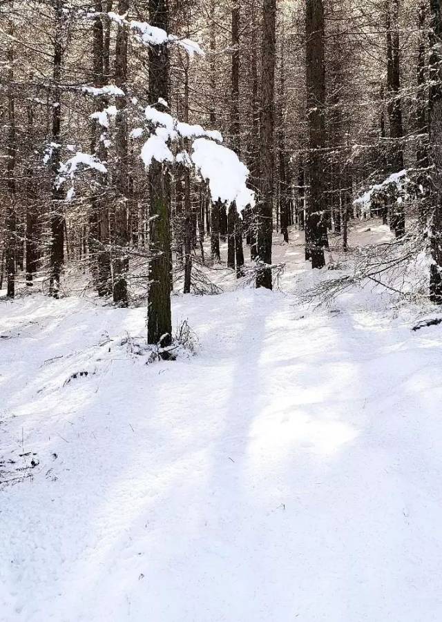 张家口草原天路深秋雪景!又在朋友圈火了一把