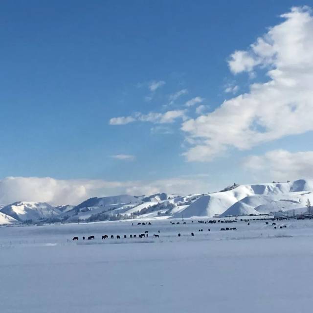 今日新疆成功"入冬"!来看全疆各地超美雪景 刷爆全国朋友圈!