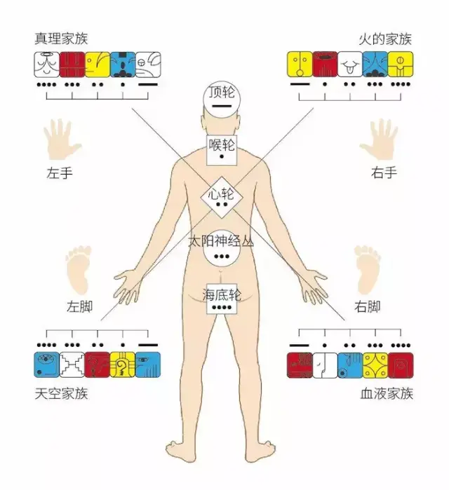 【悄悄说玛雅历】连载8:hunab ku,人体全息图,地球全息图,地球家