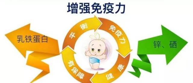 一文教你如何跟顾客讲解:奶粉中的乳铁蛋白的重要性