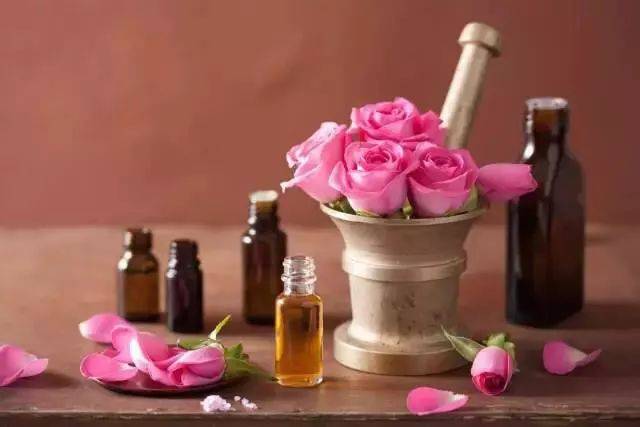 玫瑰精油十分珍贵,即使对于最高产的大马士革玫瑰,也要3000到4000