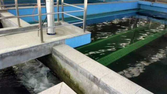 滤池(普快   座,v 型   座),经过絮凝沉淀后的水进入滤池,滤料是石英