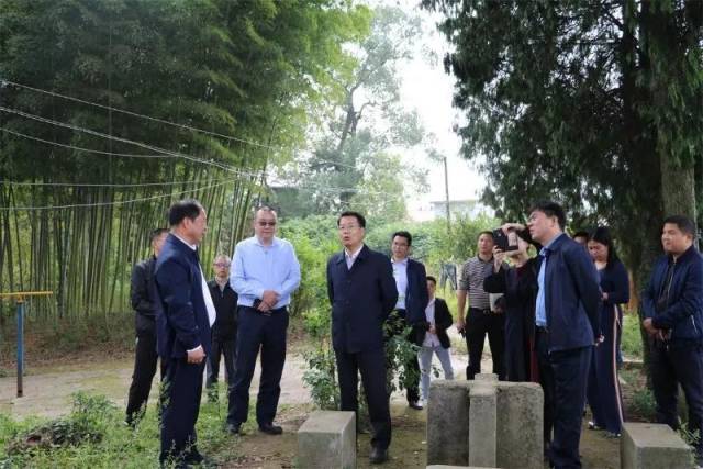 市委常委,宣传部长袁川同志率队调研万载县筹备2019年