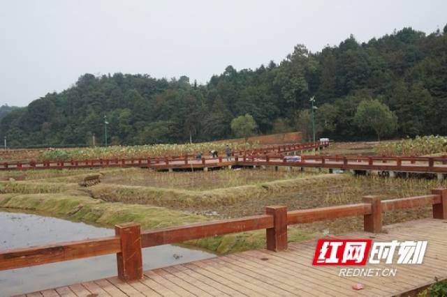 益阳:智慧新升级 记忆中的清溪村变了模样