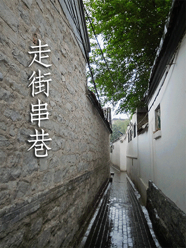 394_525 竖版 竖屏