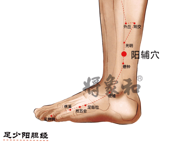 肝胆二经垃圾多,你的身体不会好!