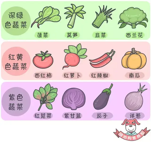 请看下图: ▼ 蔬菜的颜色越深,植物化学物含量越丰富.