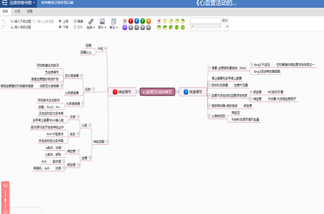 心血管活动调节思维导图模板分享