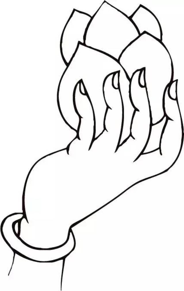 线描75种佛手画法,摇身变佛系白描大师