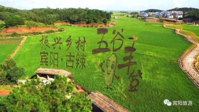 【南宁+河池动车超值3日】青秀山、广西