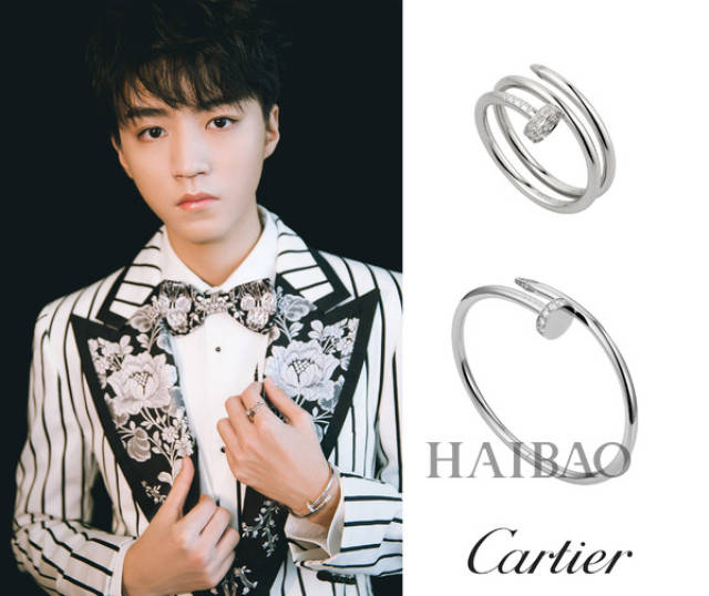 王俊凯佩戴卡地亚 (cartier) 珠宝