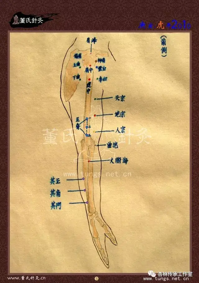 董氏奇穴特针赋及穴位图谱大全