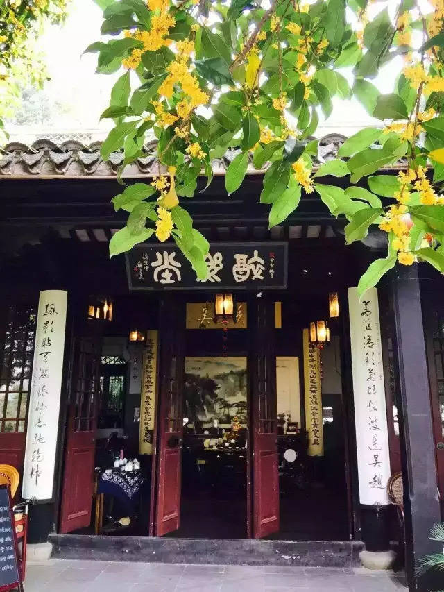 醉乐堂茶社 喝茶可以很随意,最好是树上的桂花无意地飘落到茶杯里,品