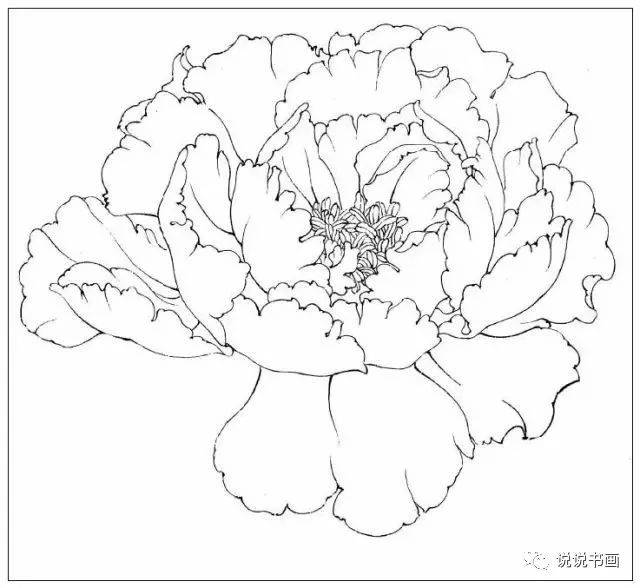 【干货】史上最全的牡丹画技法教程,值得收藏学习!