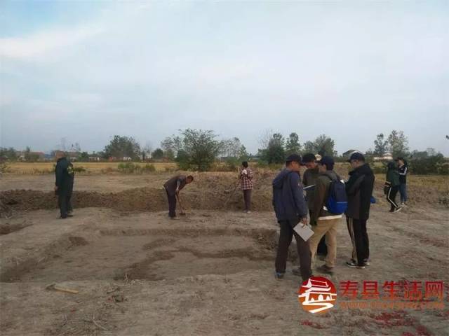 大发现!寿县炎刘镇发现约3000年前的古人类遗址