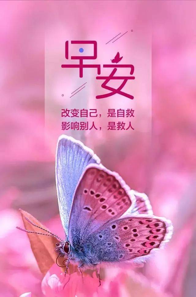 簲һ仰 峿Ȧĵĺþ