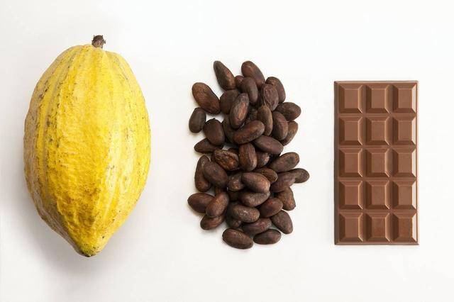 别看可可豆那么小,可可果可着实不小, 一颗成熟的可可果大约有两斤重