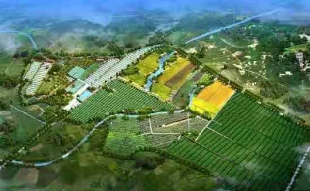都江堰:茶溪谷茶溪谷家庭农场