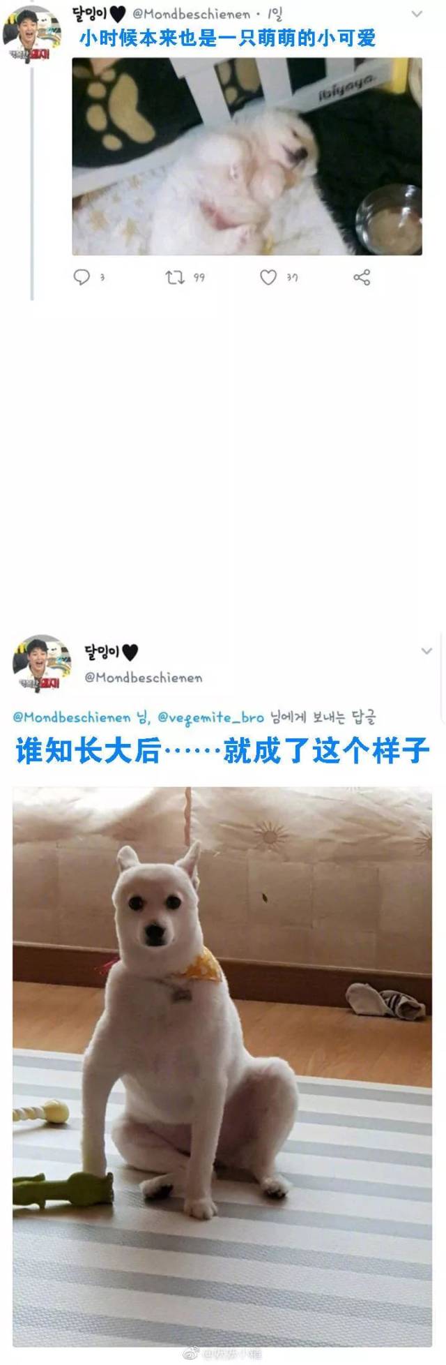 哈哈哈哈哈哈哈哈哈哈哈哈哈哈,来感受下来自沙雕网友