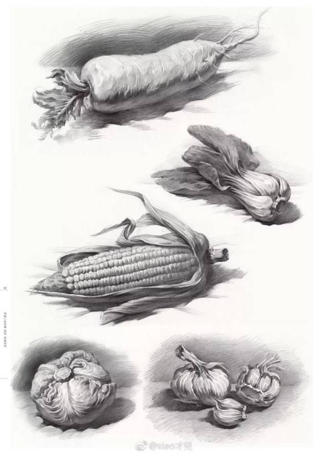 然后在排线 这样画,想不黑都难 奉上一组小教程 画素描静物的时候