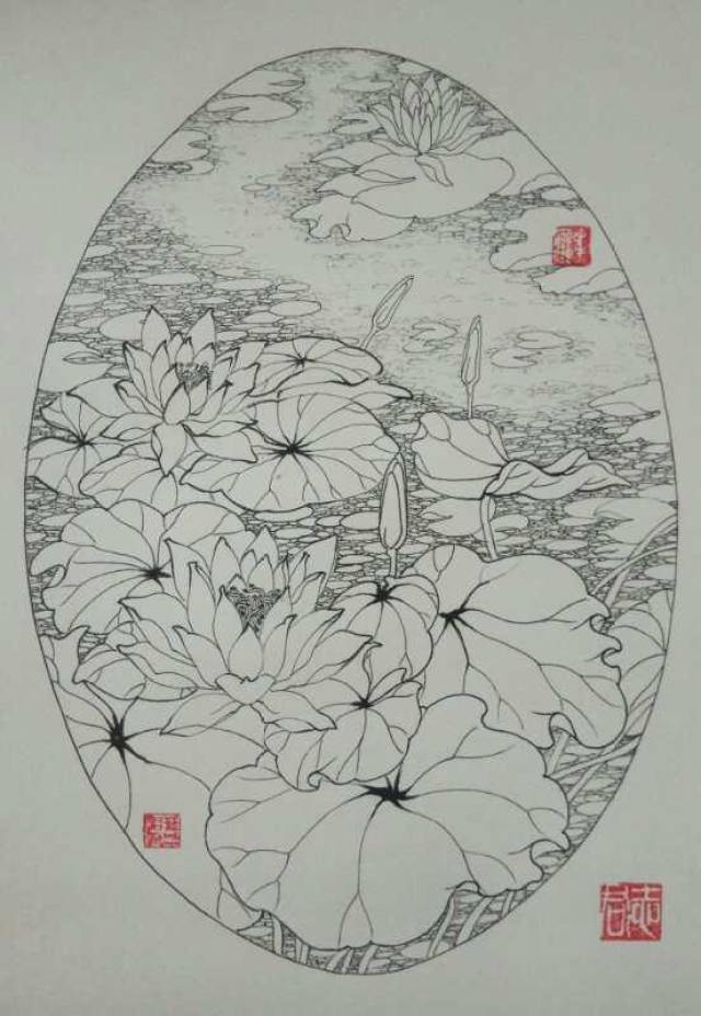 第七百一十七幅——莲花(中性笔白描花卉习作-八开)