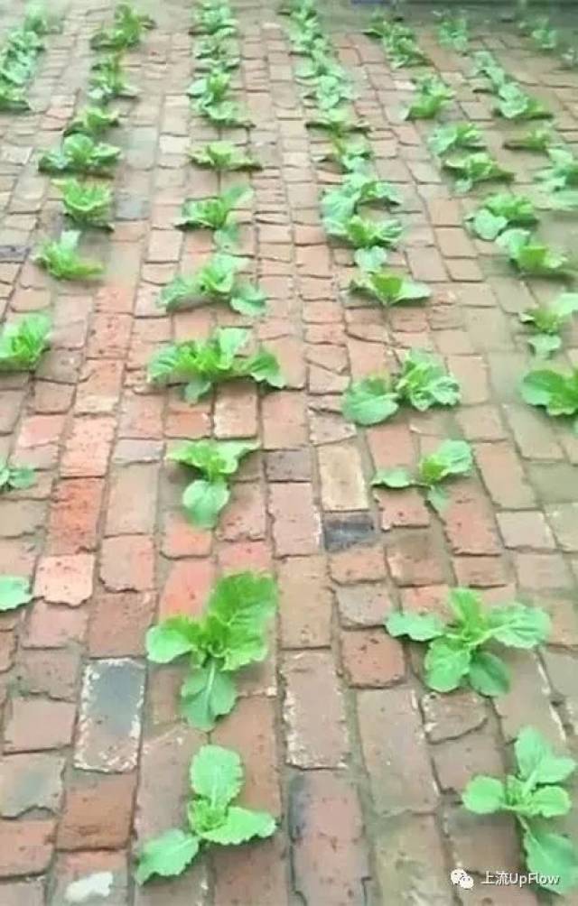 ,̨¥깶Ź