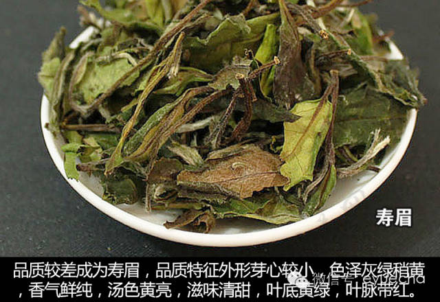 贡眉:用大白茶的嫩叶或者菜茶种(即不知道名茶树品种)的瘦小芽叶制成