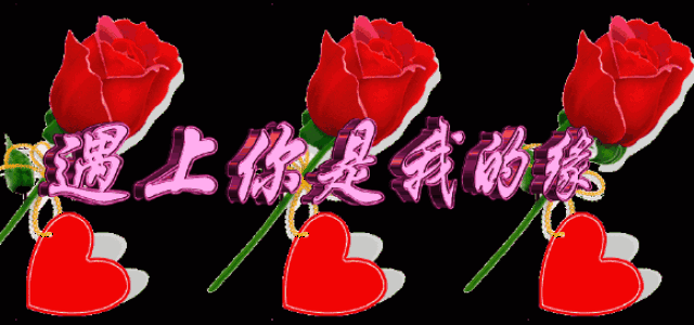 一曲《秋雨》太优美了,真好听,听了一遍又一遍!