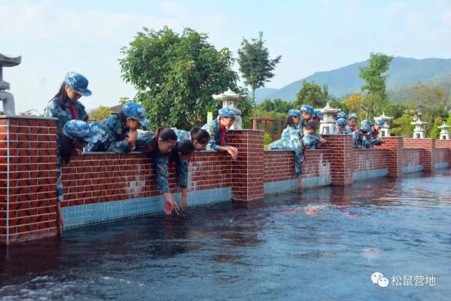 【东南花都研学实践】我不怕风和雨,期待笑和痛——漳州市第九中学七