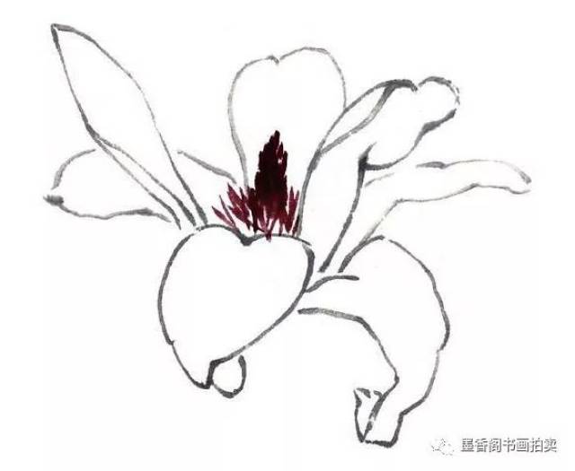 国画技法:玉兰花的详细画法及步骤
