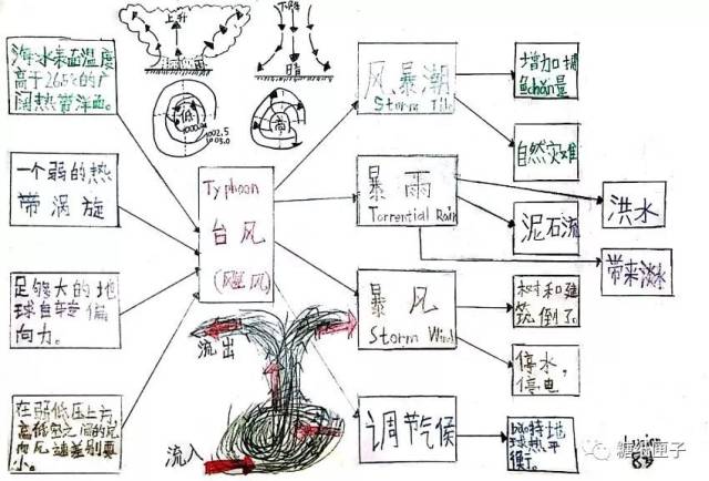 读安全故事,画思维导图