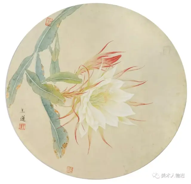 昙花 33x33cm 纸本